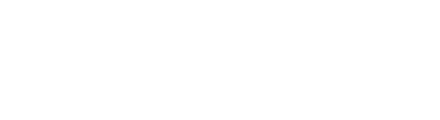 Logo_Diagmax_2.png