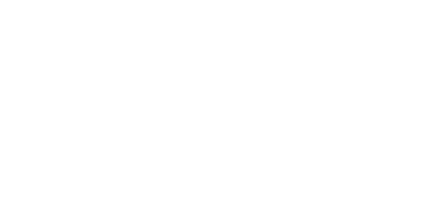 Logo_a+_3.png