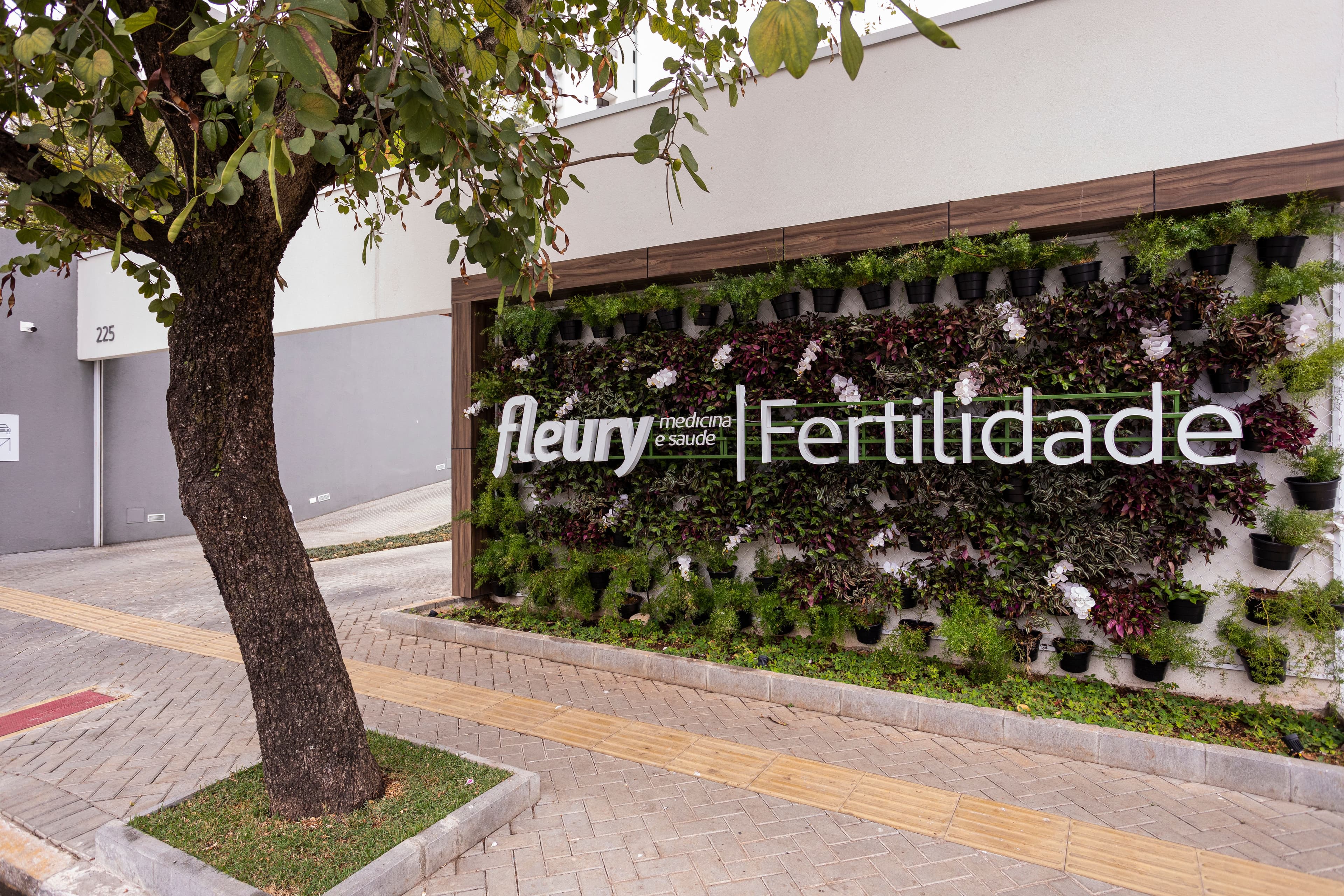5dc673b0-1177-11ec-b1d5-4d3fd4454d55-2021-08-12---Fleury-Fertilidade---257.jpg